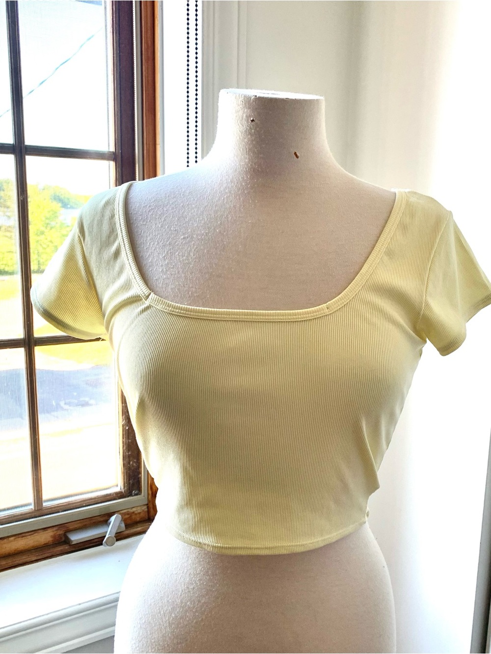Brunette The Label Ribbed Scoop Crop Top - Pale Yellow